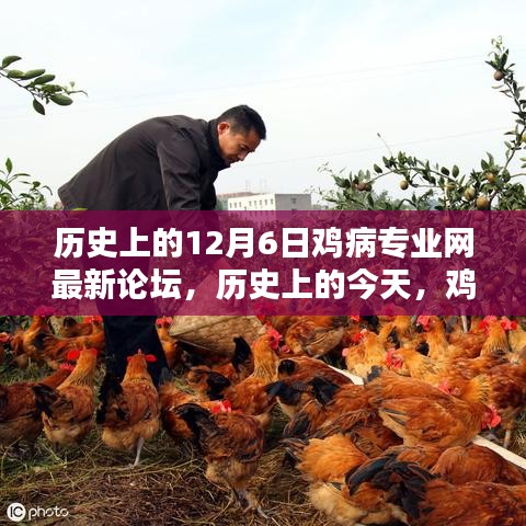 历史上的今天，鸡病专业网论坛点燃学习激情，自信与成就感助您前行之路