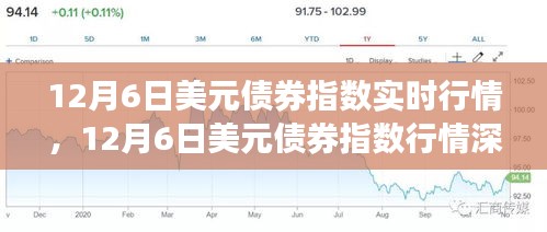12月6日美元债券指数行情深度解析，市场波动及其影响