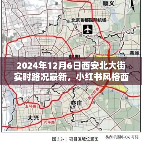 一次性餐包 第312页