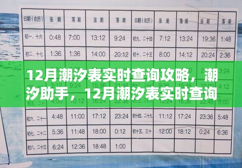 12月潮汐表实时查询攻略详解与潮汐助手深度评测