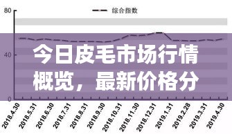 今日皮毛市场行情概览，最新价格分析与趋势预测