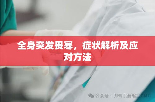 全身突发畏寒，症状解析及应对方法