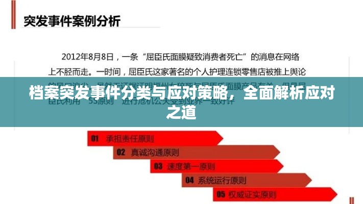 档案突发事件分类与应对策略，全面解析应对之道