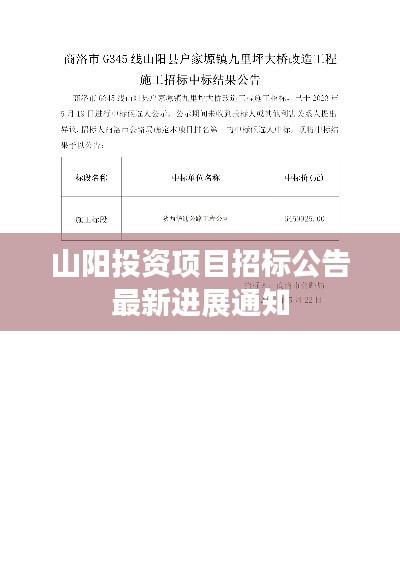 山阳投资项目招标公告最新进展通知
