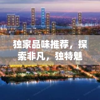 独家品味推荐，探索非凡，独特魅力一览无余