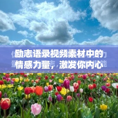 励志语录视频素材中的情感力量，激发你内心无限潜能的温暖力量