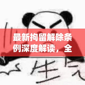 最新拘留解除条例深度解读，全文内容详解
