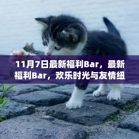 11月7日最新福利Bar，欢乐时光与友情纽带交织的盛宴