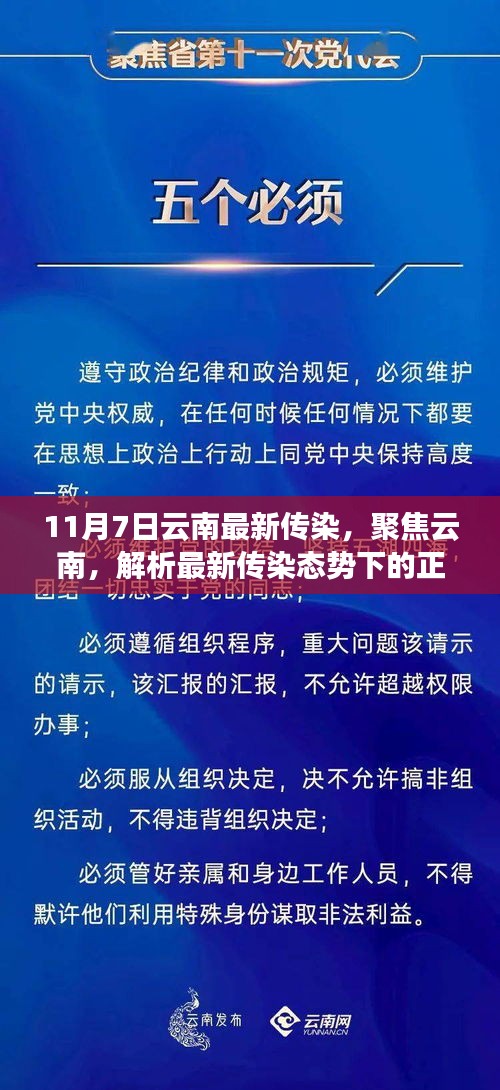 聚焦云南，最新传染态势的正反观点与个人立场解析