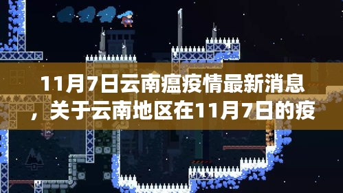 11月7日云南疫情最新动态分析与更新