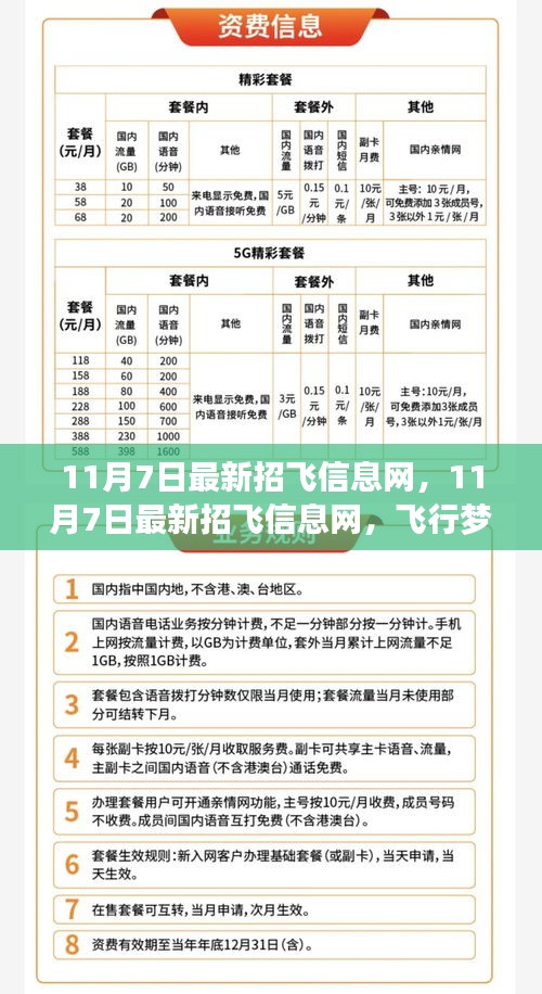 最新招飞信息网更新，飞行梦想启航，招募信息全面覆盖