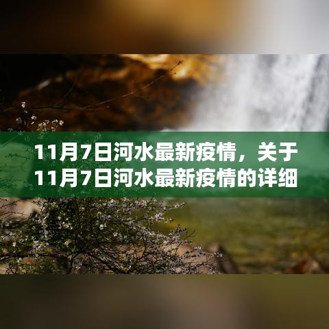 关于河水疫情最新动态，疫情现状、影响及应对措施的详细报告（11月7日更新）