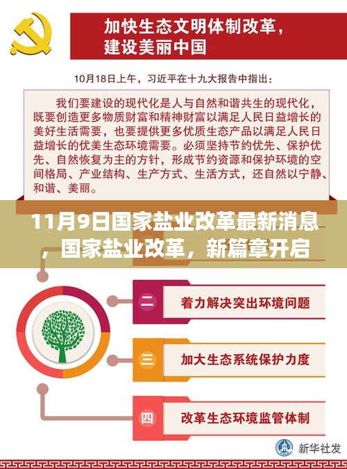 国家盐业改革新篇章开启，行业巨变引领时代潮流的最新消息（11月9日）