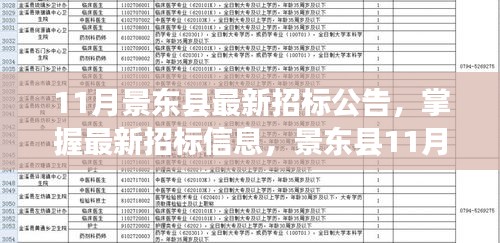 景东县最新招标公告详解，掌握最新招标信息步骤指南（11月版）