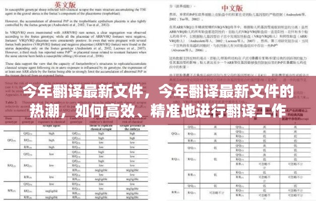 今年翻译最新文件热潮，高效精准翻译工作指南