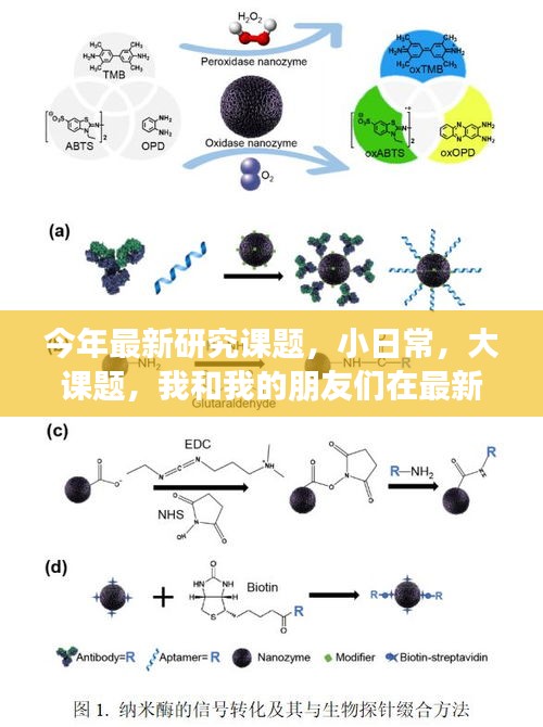 小日常中的大课题，我与朋友们的最新研究奇妙旅程