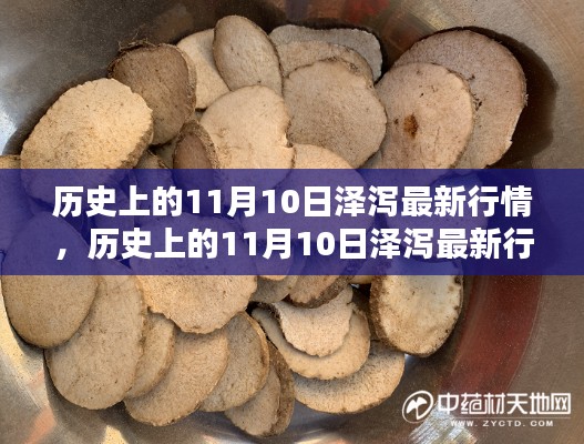 历史上的11月10日泽泻行情深度解析与最新动态分析