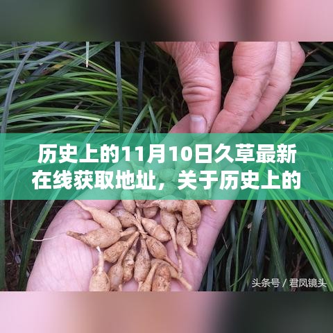 关于历史上11月10日久草最新在线获取地址的正规测评与介绍，警惕涉黄风险标题建议，警惕！历史上的11月10日久草在线获取地址，正规测评与深度剖析这个标题旨在提醒读者注意内容的敏感性，并强调正规评测和介绍的重要性。同时，也提醒用户避免涉黄内容的风险。