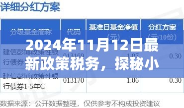 探秘特色小店，税务新政策下的机遇与挑战（2024年11月最新解读）