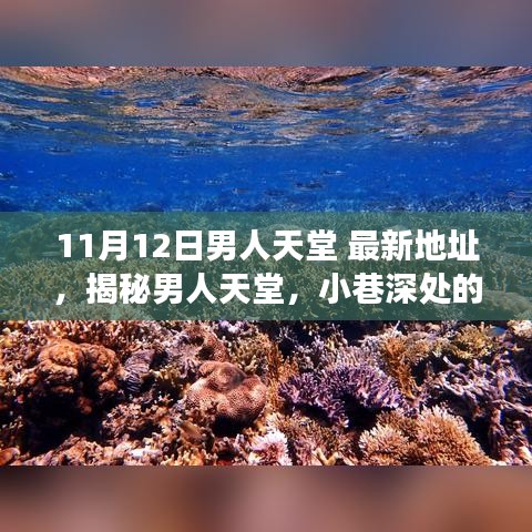 探秘男人天堂，最新地址揭秘小巷风情小店之旅（11月12日更新）