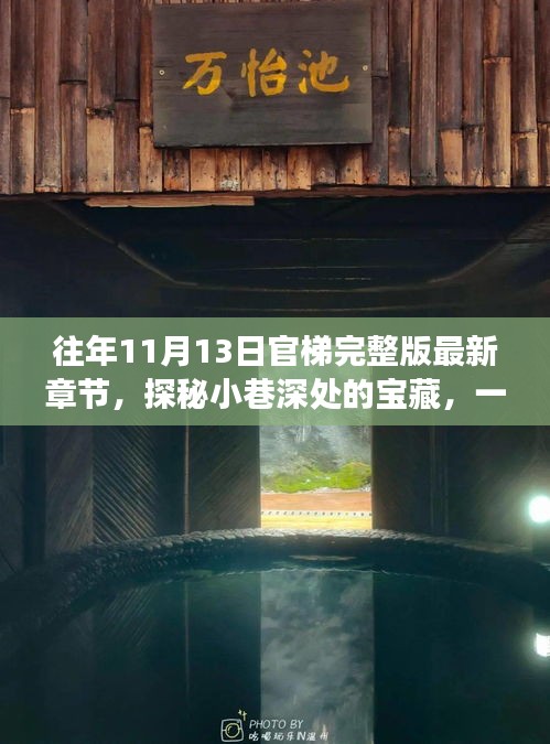 探秘小巷深处的宝藏，一家隐藏版特色小店的奇妙故事——往年11月13日官梯完整版最新章节揭秘