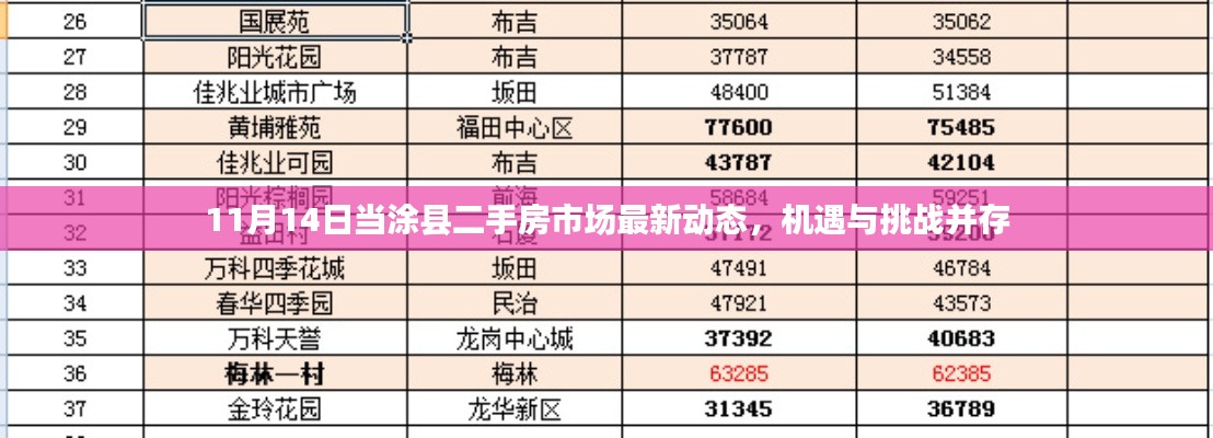 11月14日当涂县二手房市场最新动态，机遇与挑战并存