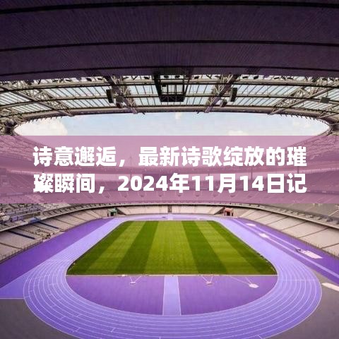 诗意邂逅，最新诗歌绽放的璀璨瞬间，2024年11月14日记录下的诗意之美