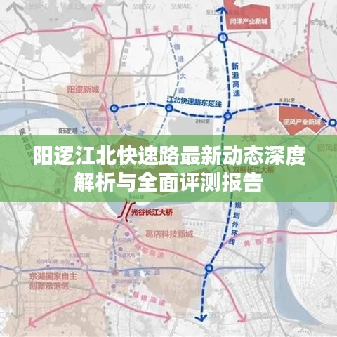 阳逻江北快速路最新动态深度解析与全面评测报告