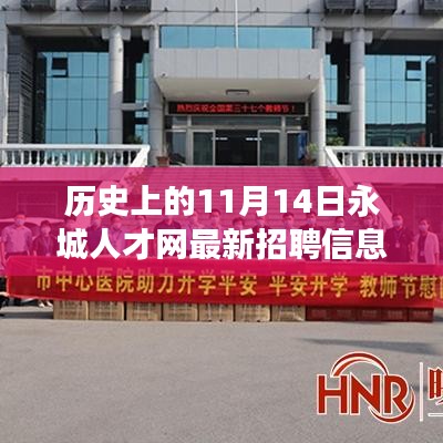 历史上的11月14日永城人才网最新招聘信息深度解读，人才战略与个人发展的视角