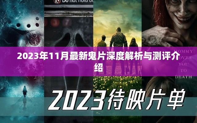 2023年11月最新鬼片深度解析与测评介绍