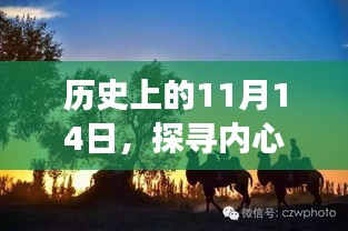 历史上的11月14日，探寻内心平静的奇妙之旅，与大自然的共舞日最新更新