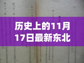 东北大鼓书新篇章，励志之旅，历史传承与现代自信的交融日（11月17日视频）