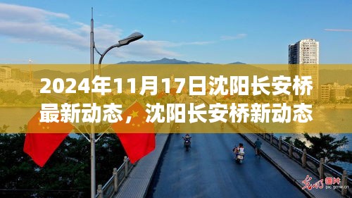 沈阳长安桥新动态，自然美景探索之旅，探寻内心宁静与平和的秘境（2024年11月17日）