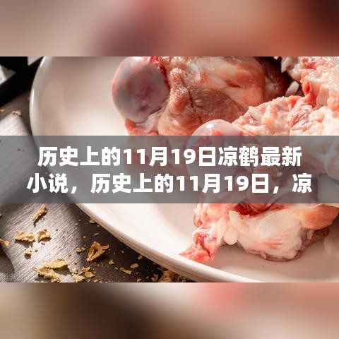 历史上的11月19日，凉鹤最新小说深度测评与介绍