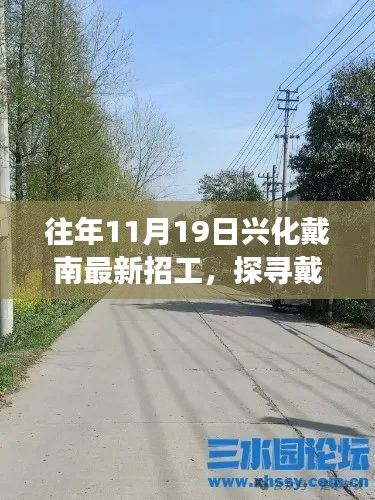 探寻戴南小巷深处的隐藏瑰宝，揭秘兴化戴南最新招工背后的故事（往年11月19日）