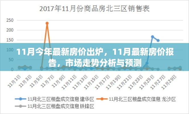 最新出炉的11月房价报告，市场走势分析与预测