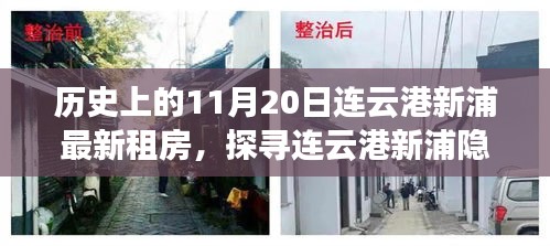 探寻连云港新浦隐秘小巷，揭秘独家租房故事与特色小店——历史上的最新租房动态（11月20日）