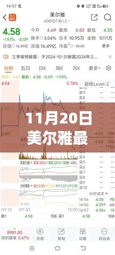美尔雅最新动态解析及未来展望，聚焦要点，洞悉未来发展（11月20日）