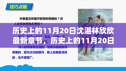 历史上的11月20日与沈湛林欣欣的心灵之旅，寻找自然静谧与内心平和