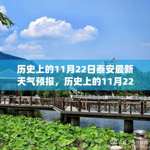 探寻自然美景与心灵宁静之旅，泰安历史上的天气预报回顾与最新天气预报揭秘