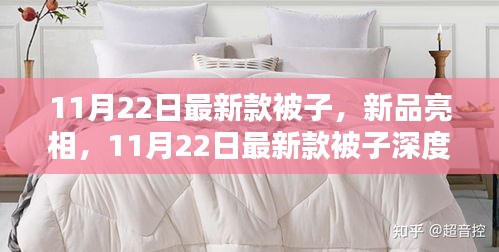 11月22日最新款被子深度解析与新品亮相