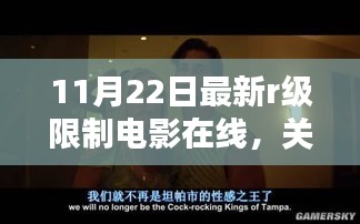 11月22日最新R级限制电影涉黄问题探讨及影响分析。