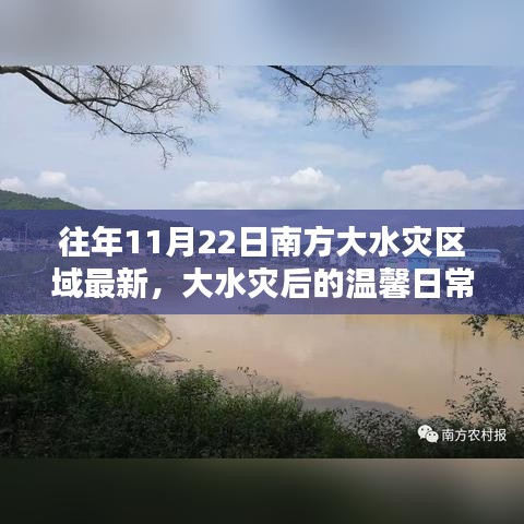 南方家园守护战，大水灾后的温馨日常与笑声重现