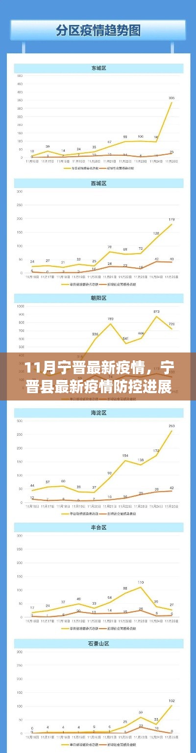 宁晋县疫情防控进展深度评测，最新进展、特性、用户体验与竞品对比分析