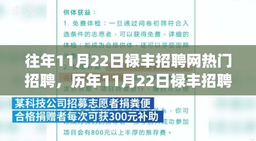 历年11月22日禄丰招聘网热门现象深度解析，招聘热度背后的驱动力探究