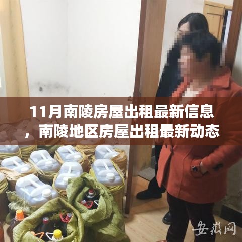 十一月南陵房屋出租最新信息及动态更新