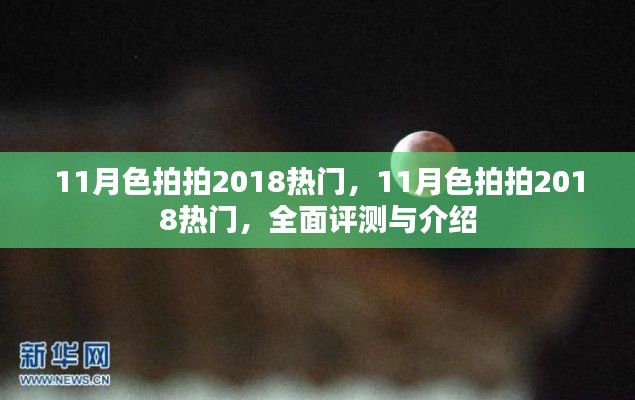 11月色拍拍2018热门全面评测与介绍