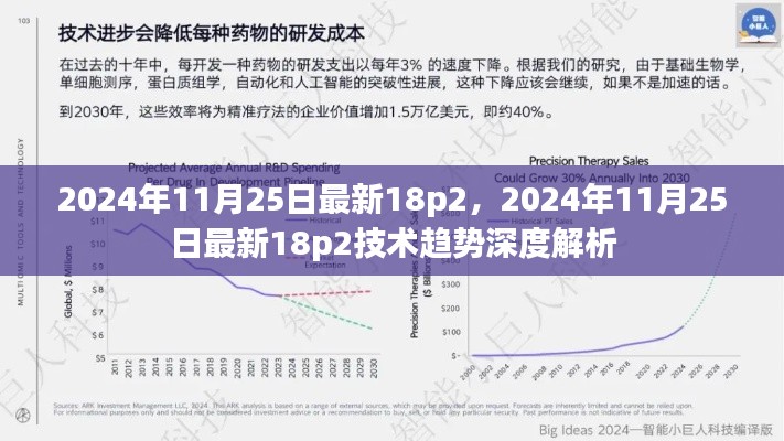 2024年11月25日最新技术趋势深度解析，聚焦最新18p2技术