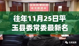 平玉县委常委最新名单解析及观点探讨，历年变化与趋势分析