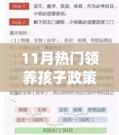 小红书带你深度解读11月领养孩子政策新篇章